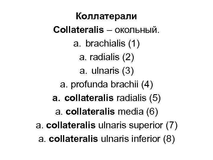 Коллатерали Collateralis – окольный. a. brachialis (1) a. radialis (2) a. ulnaris (3) a.