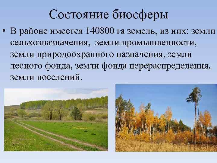 Состояние биосферы • В районе имеется 140800 га земель, из них: земли сельхозназначения, земли