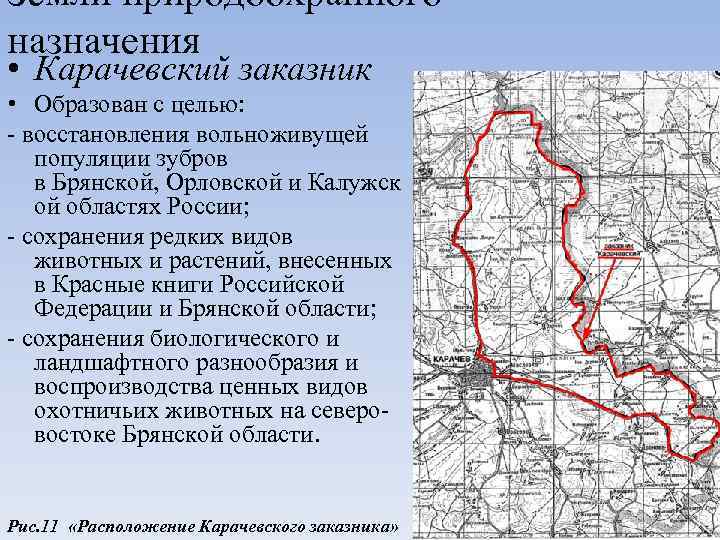 Земли природоохранного назначения • Карачевский заказник • Образован с целью: - восстановления вольноживущей популяции