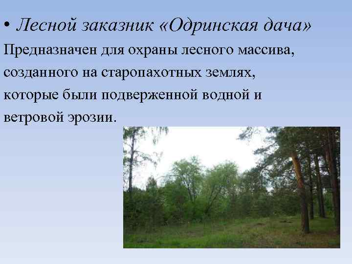  • Лесной заказник «Одринская дача» Предназначен для охраны лесного массива, созданного на старопахотных