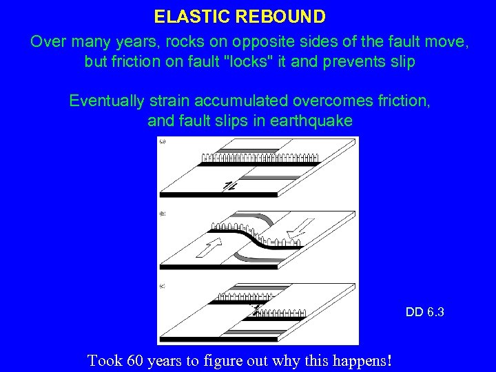 ELASTIC REBOUND Over many years, rocks on opposite sides of the fault move, but