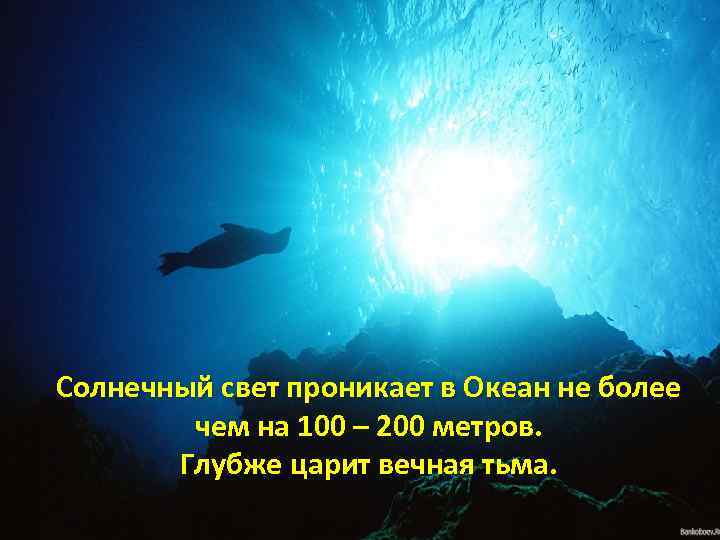 Глубина воды 200 метров. Свет солнца проникает в океан. Свет проникает в воду на глубину. Глубина океана максимальная. Солнечный свет на глубину проникает.