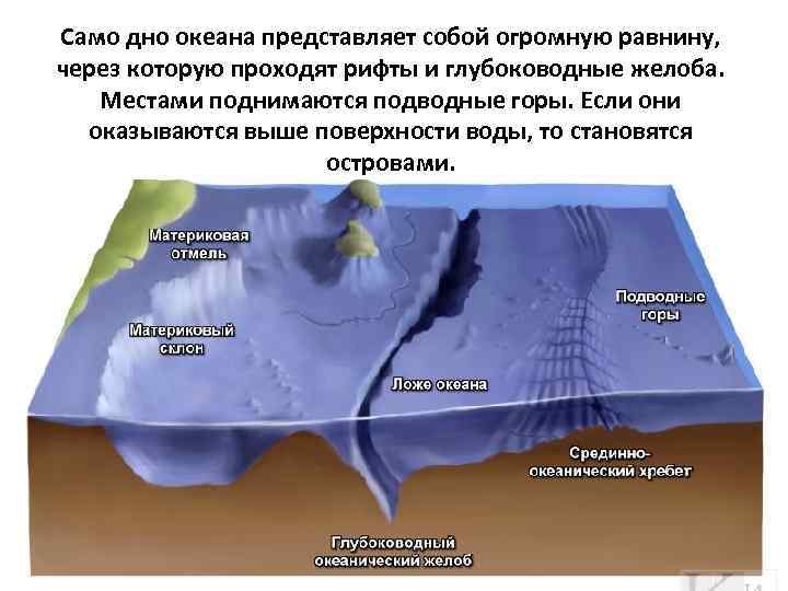 Само дно океана представляет собой огромную равнину, через которую проходят рифты и глубоководные желоба.