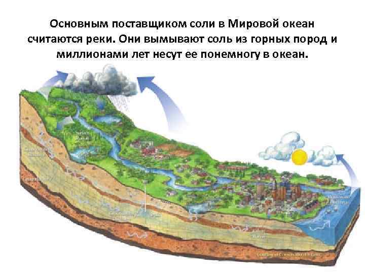 Основным поставщиком соли в Мировой океан считаются реки. Они вымывают соль из горных пород