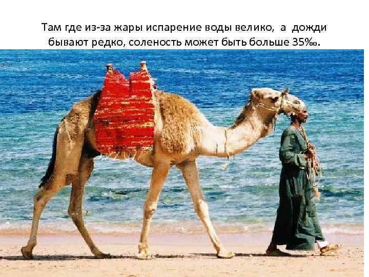 Там где из-за жары испарение воды велико, а дожди бывают редко, соленость может быть