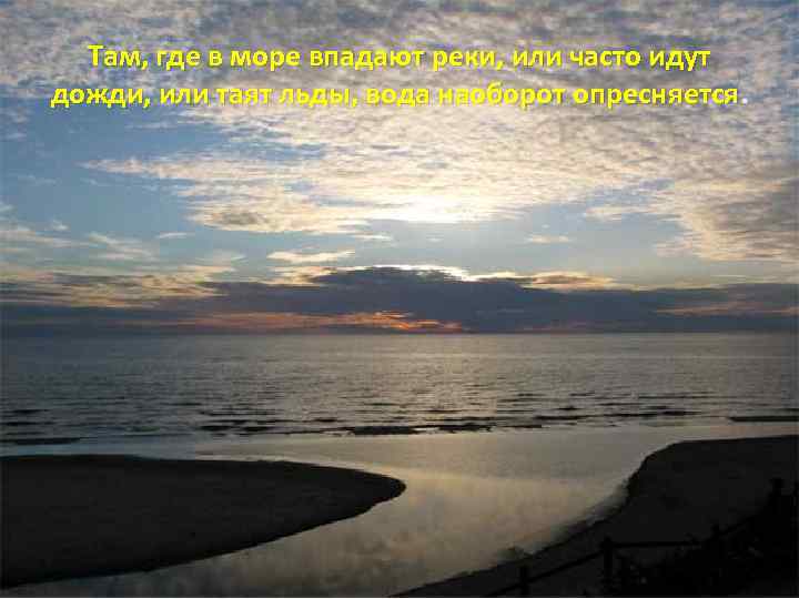 Там, где в море впадают реки, или часто идут дожди, или таят льды, вода