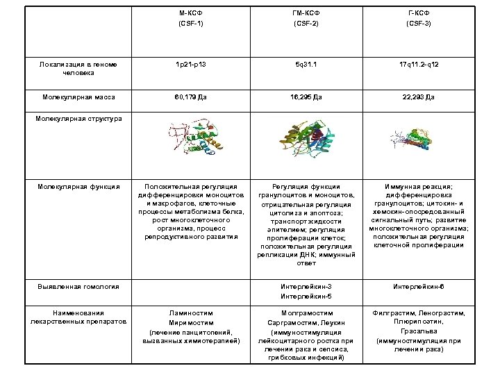 M-КСФ (CSF-1) ГM-КСФ (CSF-2) Г-КСФ (CSF-3) Локализация в геноме человека 1 p 21 -p
