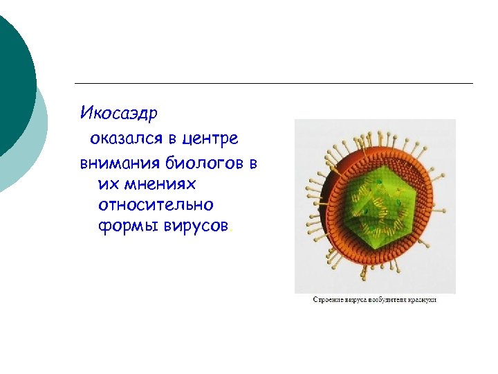 Икосаэдр оказался в центре внимания биологов в их мнениях относительно формы вирусов. 