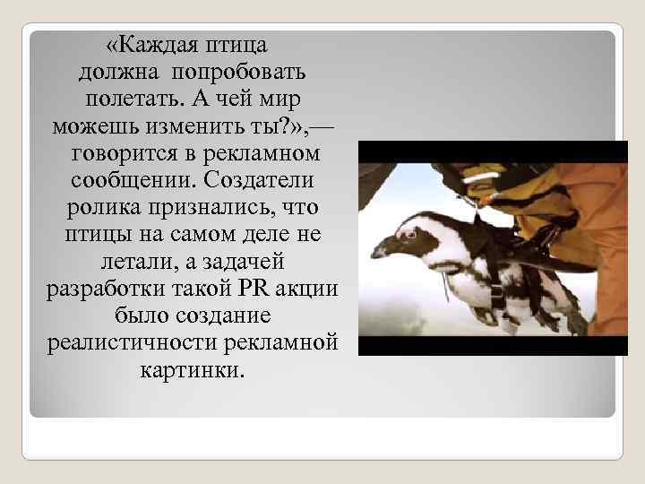  «Каждая птица должна попробовать полетать. А чей мир можешь изменить ты? » ,