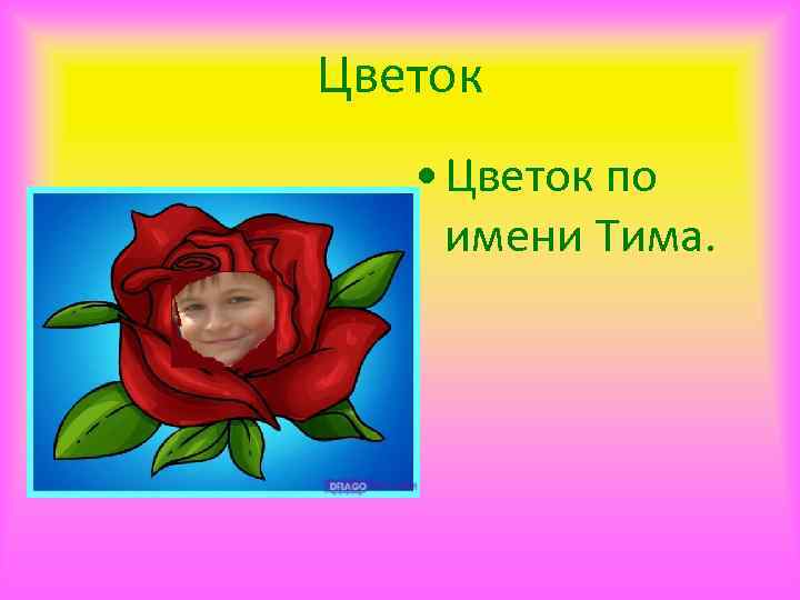 Цветок • Цветок по имени Тима. 