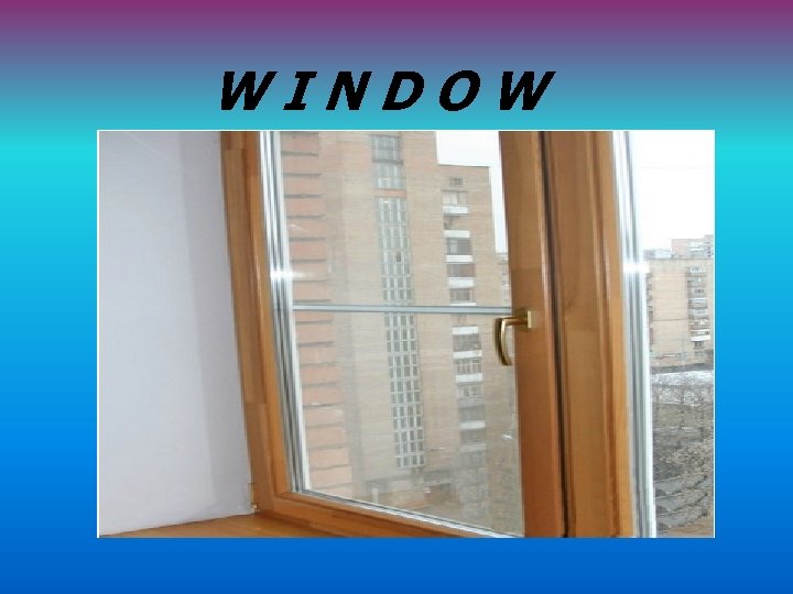 WINDOW 
