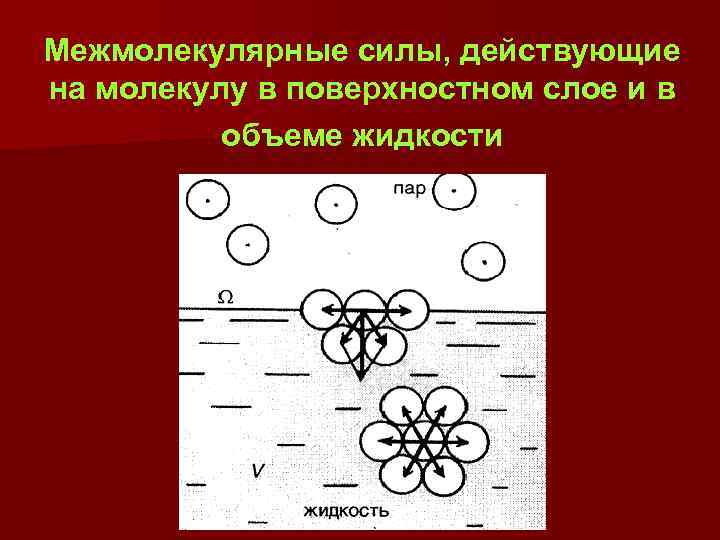 Межмолекулярные силы, действующие на молекулу в поверхностном слое и в объеме жидкости 