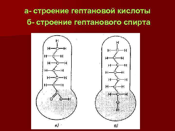 а- строение гептановой кислоты б- строение гептанового спирта 