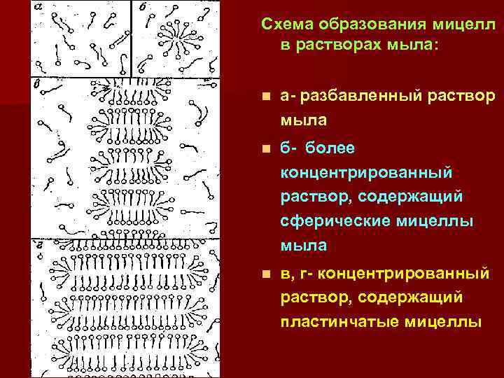 Схема образования мицелл в растворах мыла: n а- разбавленный раствор мыла n б- более