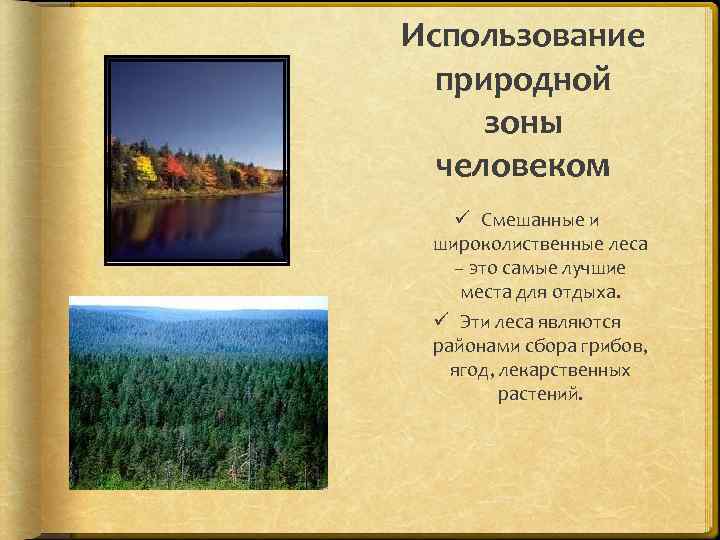 Использование природной зоны человеком ü Смешанные и широколиственные леса – это самые лучшие места