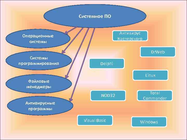 Системное ПО Антивирус Касперского Операционные системы Dr. Web Системы программирования Delphi Linux Файловые менеджеры