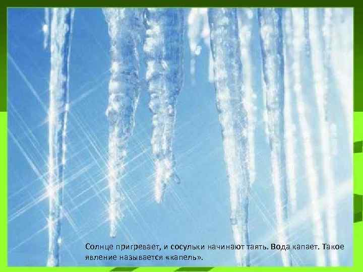 Солнце пригревает, и сосульки начинают таять. Вода капает. Такое явление называется «капель» . 