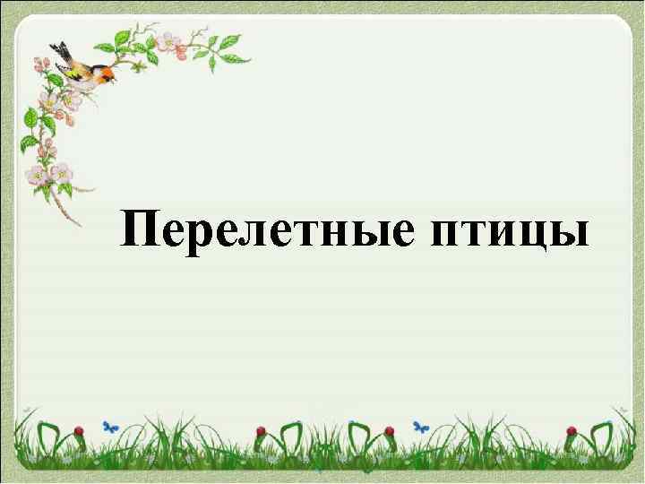 Перелетные птицы 