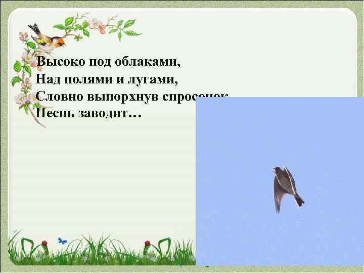  Высоко под облаками, Над полями и лугами, Словно выпорхнув спросонок, Песнь заводит… 