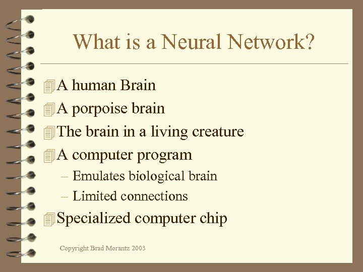 What is a Neural Network? 4 A human Brain 4 A porpoise brain 4