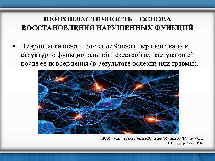 НЕЙРОПЛАСТИЧНОСТЬ – ОСНОВА ВОССТАНОВЛЕНИЯ НАРУШЕННЫХ ФУНКЦИЙ • Нейропластичность– это способность нервной ткани к структурно