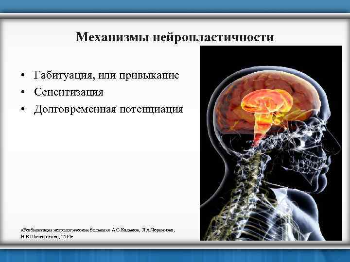 Механизмы нейропластичности • Габитуация, или привыкание • Сенситизация • Долговременная потенциация «Реабилитация неврологических больных»