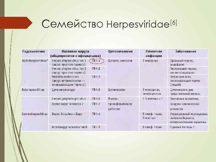 Семейство Herpesviridae[6] 