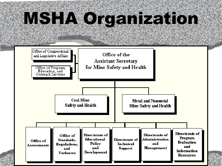 MSHA Organization 