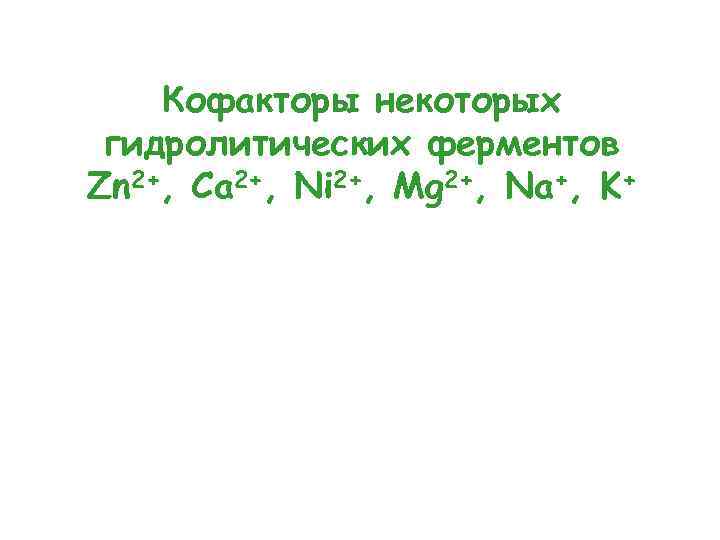 Кофакторы некоторых гидролитических ферментов Zn 2+, Ca 2+, Ni 2+, Mg 2+, Na+, K+