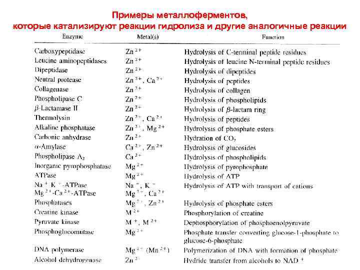 Примеры металлоферментов, которые катализируют реакции гидролиза и другие аналогичные реакции 