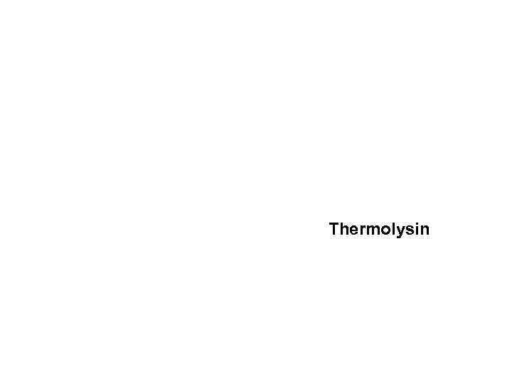 Thermolysin 
