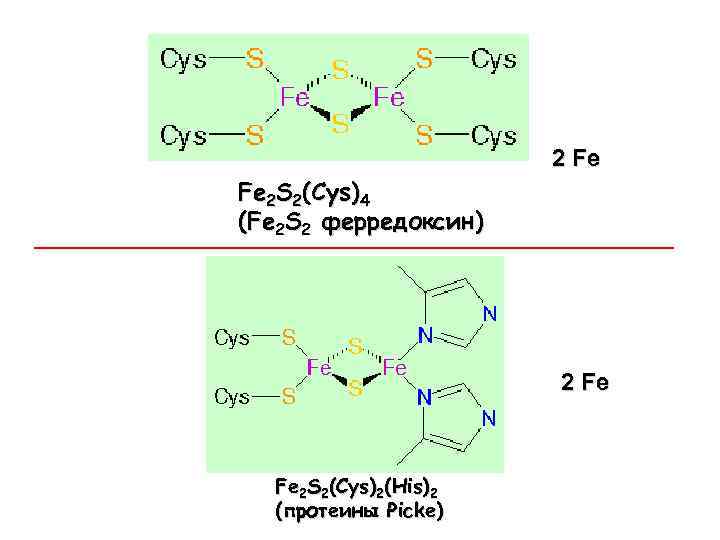 2 Fe Fe 2 S 2(Cys)4 (Fe 2 S 2 ферредоксин) 2 Fe Fe