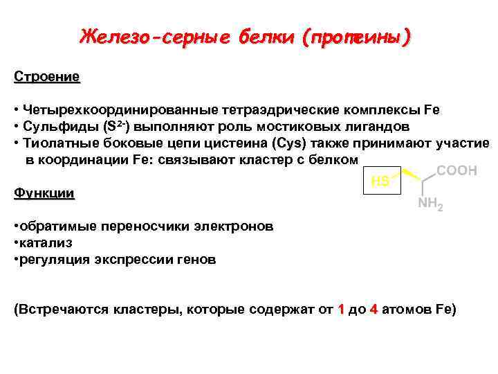 Железо-серные белки (протеины) Строение • Четырехкоординированные тетраэдрические комплексы Fe • Сульфиды (S 2 -)