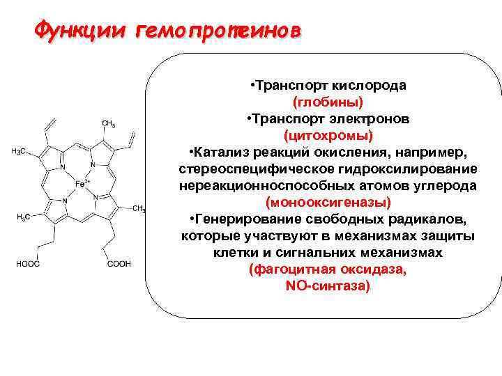 Функции гемопротеинов • Транспорт кислорода (глобины) • Транспорт электронов (цитохромы) • Катализ реакций окисления,