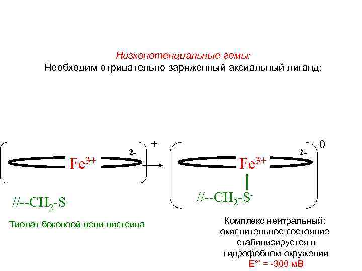 Низкопотенциальные гемы: Необходим отрицательно заряженный аксиальный лиганд: Fe 3+ 2 - //--CH 2 -SТиолат