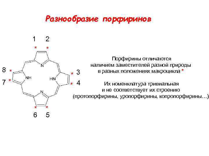 Протопорфирин