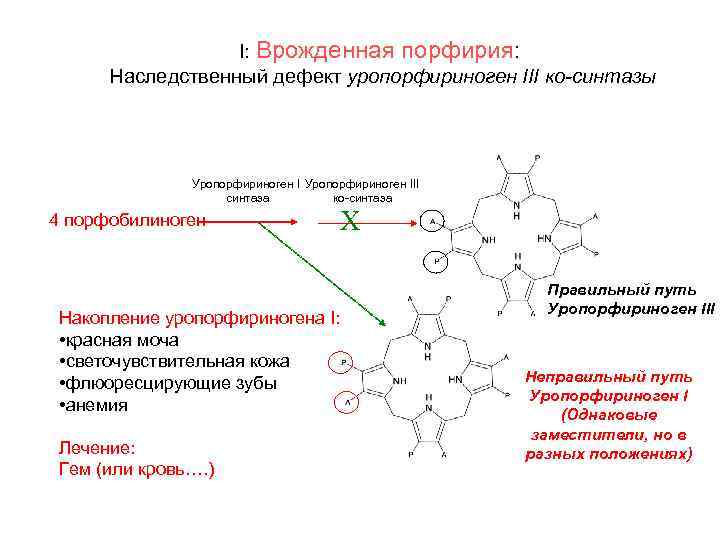 Схема синтеза гема из порфобилиногена