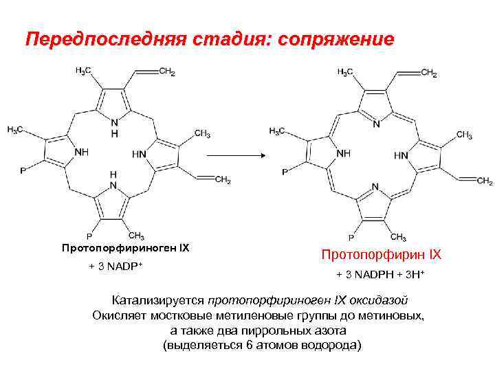 Протопорфирин. Протопорфириноген IX. Строение протопорфирина IX. Протопорфирин 9 формула. Копропорфириноген оксидаза.
