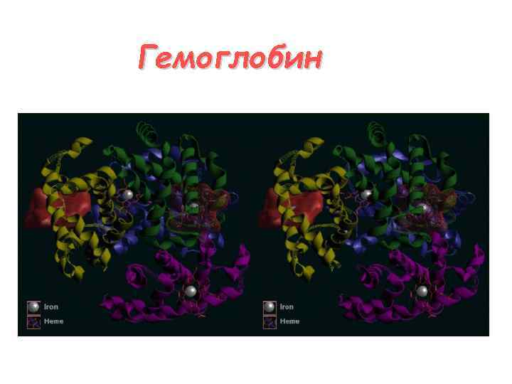 Гемоглобин 