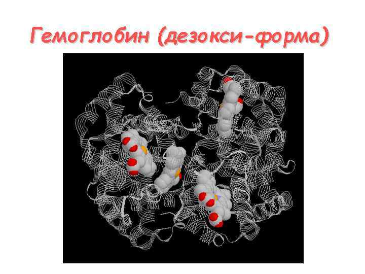 Гемоглобин (дезокси-форма) 