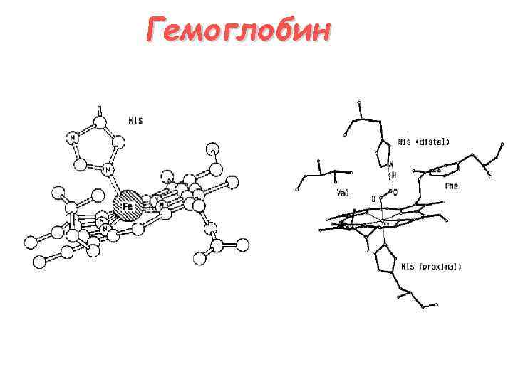Гемоглобин 