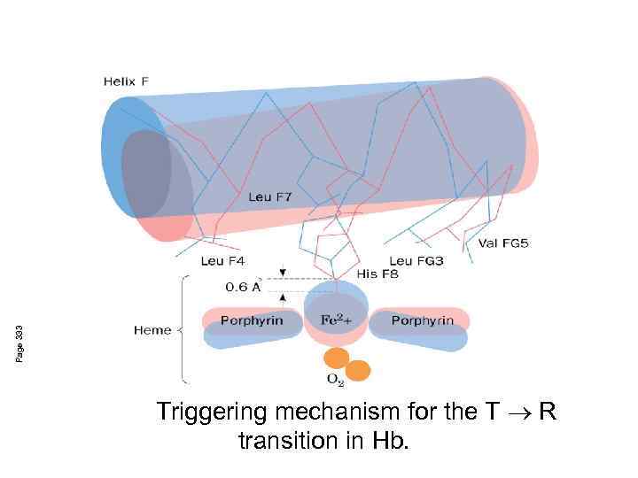 Page 333 Triggering mechanism for the T ® R transition in Hb. 