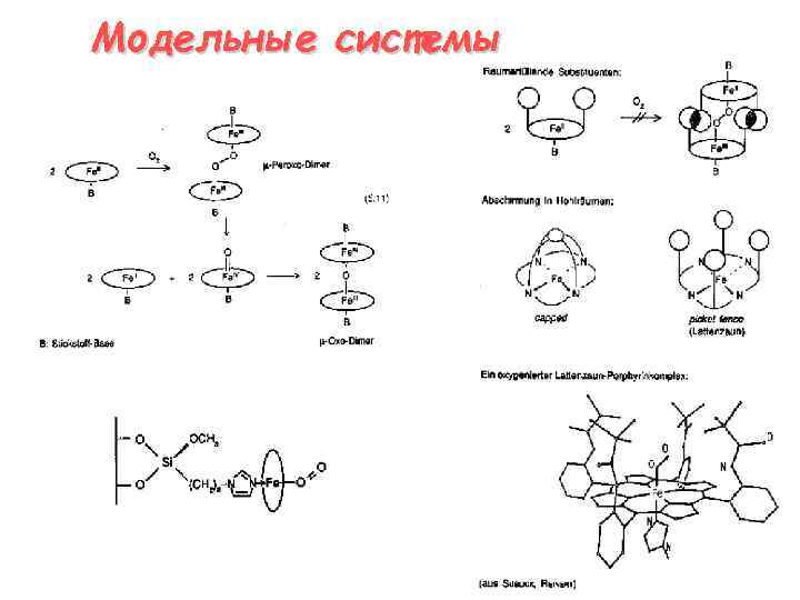 Модельные системы 
