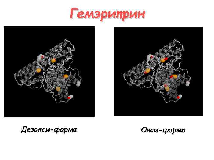 Гемэритрин Дезокси-форма Окси-форма 