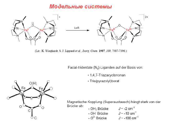 Модельные системы 