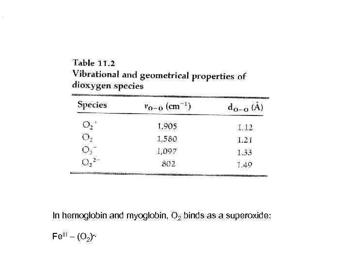 In hemoglobin and myoglobin, O 2 binds as a superoxide: Fe. III – (O