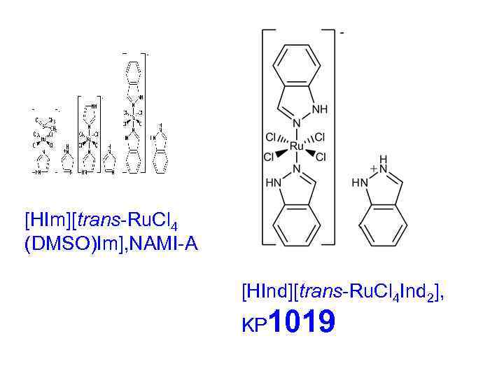 [HIm][trans-Ru. Cl 4 (DMSO)Im], NAMI-A [HInd][trans-Ru. Cl 4 Ind 2], KP 1019 