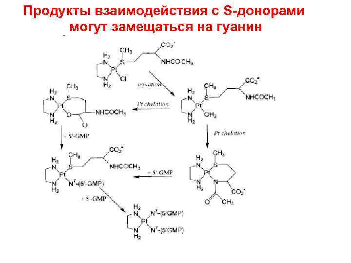 Продукты взаимодействия с S-донорами могут замещаться на гуанин 