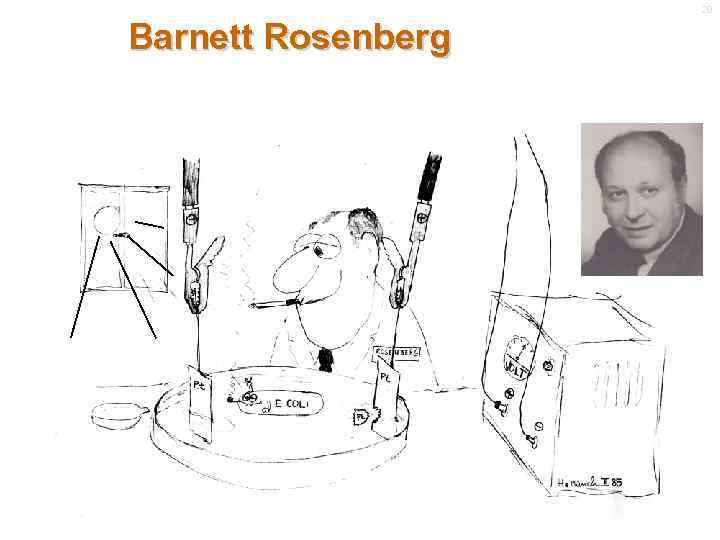 20 Barnett Rosenberg 