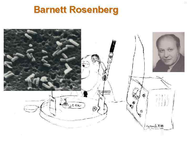 21 Barnett Rosenberg 